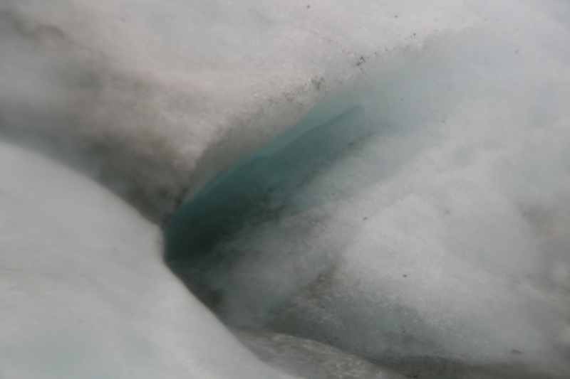 Nieuw-Zeeland 2011 - 1467